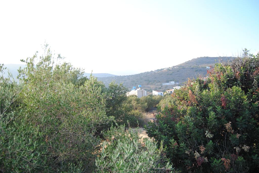 Sailors Apartments Elounda Exterior foto